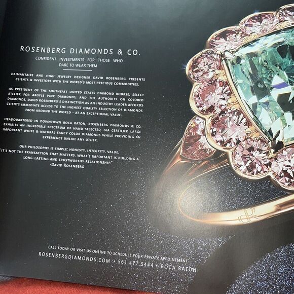 2018 Waldorf Astoria Chicago Luxury Art Book - Rare With Lots of Pictures HC - Picture 3 of 15